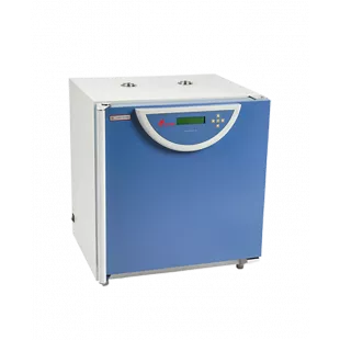 Шкаф сушильный BPG-9050A фото 1