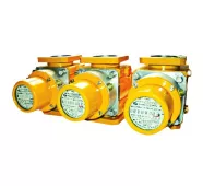 Счетчики газа роторные G25 РГС-Ех, G40 РГС-Ех, G65 РГС-Ех фото